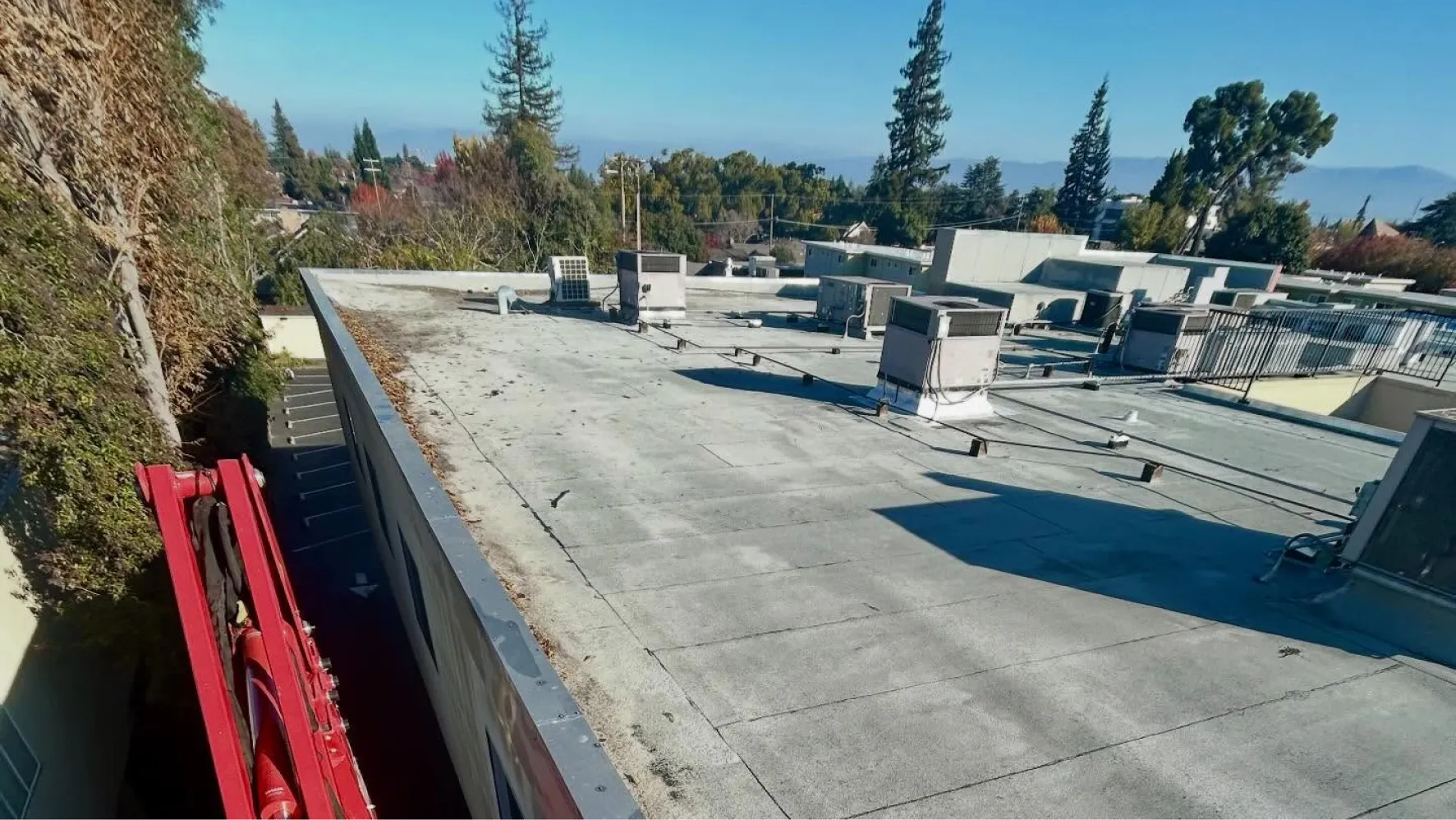 Commercial Tree Services Commercial Tree Services