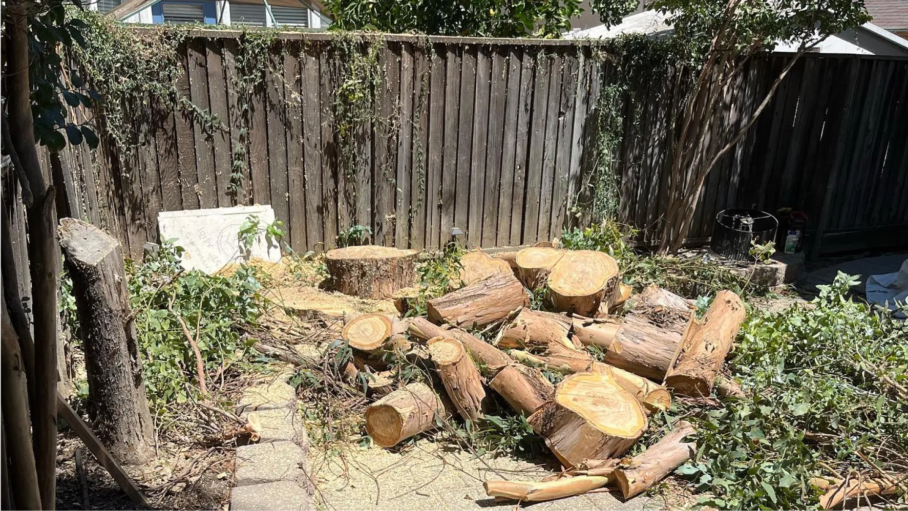 Stump Removal Services